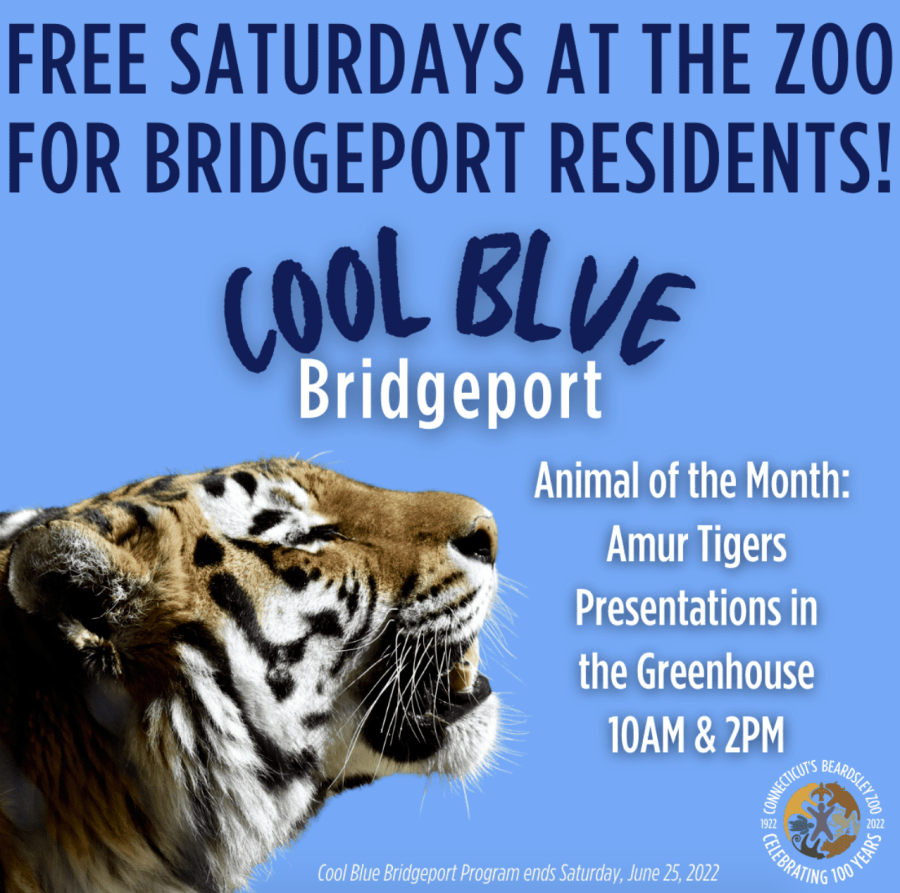 Free Saturday's at the Zoo for Bridgeport Residents 